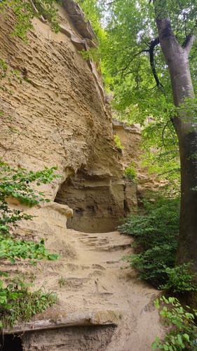 Zu den Heidenhöhlen und über Burgtal