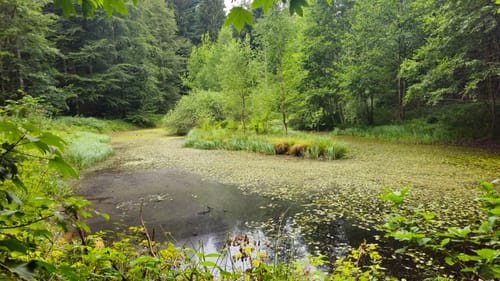 Zu den Heidenhöhlen und über Burgtal