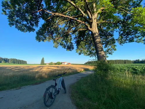 adapter sattelstütze 30 9 auf 31 6 X AUTOHAUX 30,9 bis 31,6 mm Fahrrad Sattelstützenrohr Reduzierhülse Sale % Radbekleidung157 Aufbewahrungsbox mit Deckel Kinder: Wähle Deine Farbe:white/black m. Logo