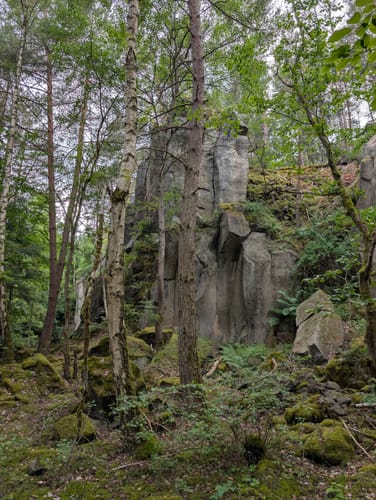 Nitztal und Riedener Waldsee ab Wanderparkplatz Büden