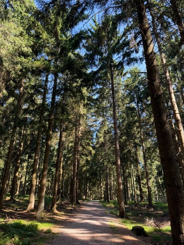 Im Teufelsquartier um den großen Feldberg