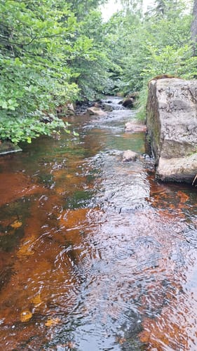 Im Naturschutzgebiet Wurmberg