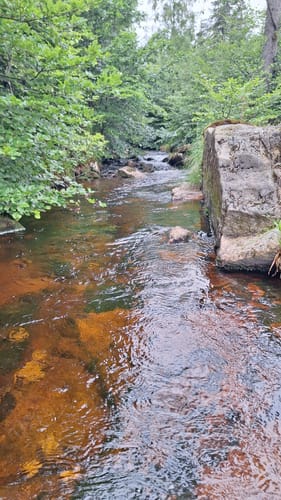 Im Naturschutzgebiet Wurmberg