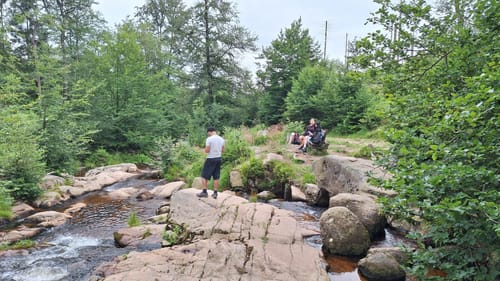 Im Naturschutzgebiet Wurmberg