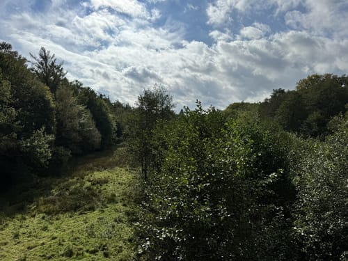 Kleine Runde im Hasbruch