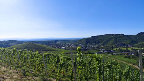 Durbacher Weitblick (Premiumwanderweg)