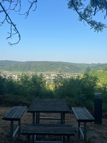 Rheinsteig Etappe 3: Bad Honnef - Linz