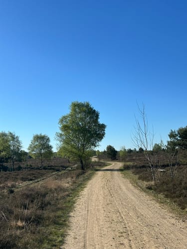 Oberhaverbeck - Suhorn - Wulfsberg