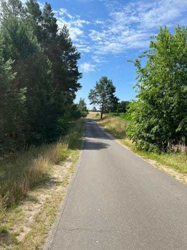 Zierker See - Kleiner Rundweg