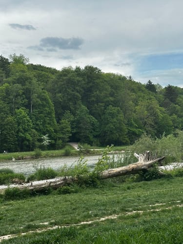 Isarrundweg: Alter Jüdischer Friedhof - Großhesseloher Brücke