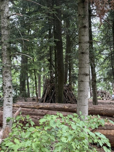 Vom Schlosspark zur Wendt Hütte