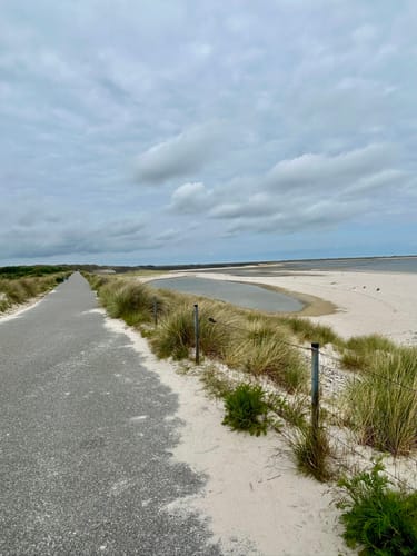 WWF Tour Sylt: Listland - Heide, Watt und Wanderdüne