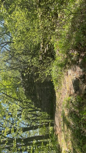HOCHGEHBERGE I "hochgehadelt" (Premiumwanderweg)