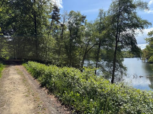 Rund um die Bevertalsperre