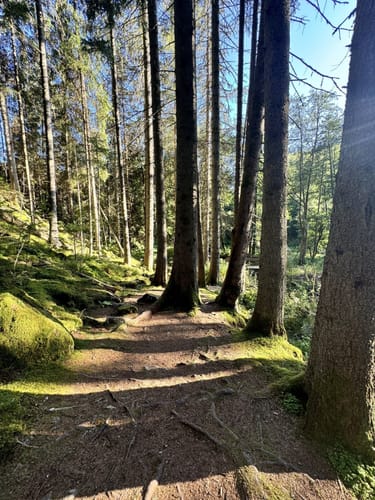 Haßlachschlucht ab Schützenhaus Kappeln