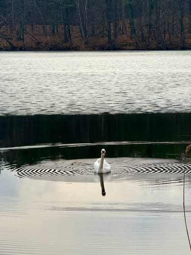 Hellsee und Plötzensee Rundweg