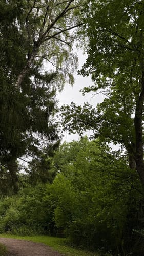 Germeringer See und Waldwanderung