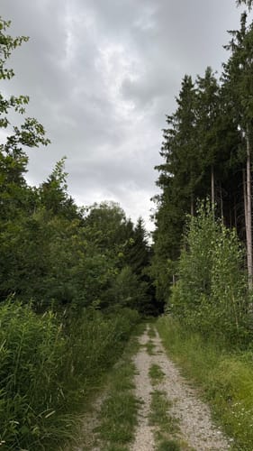 Germeringer See und Waldwanderung