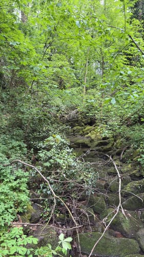 Felspassagen an der Rur