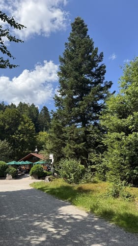 Satteleisteig (Genießerpfad)