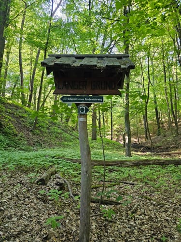 Um den Schermützelsee