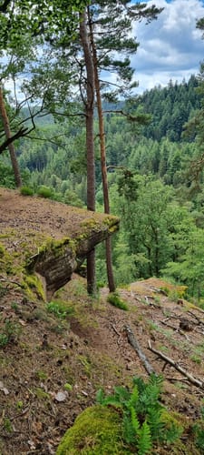 Lemberger Flößertour (Premiumwanderweg)