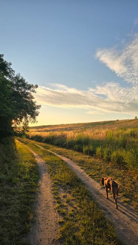 Biesenthal Rundweg