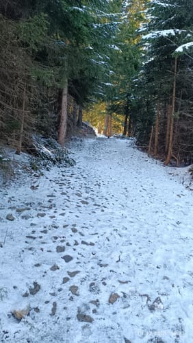 Sachrang nach Geigelstein über den Ackerwaldweg