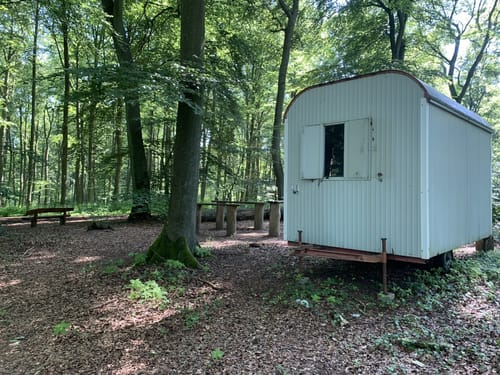 Laacher See - Krufter Waldsee
