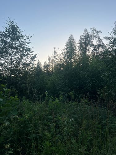 Rheinsteig Etappe 3: Bad Honnef - Linz