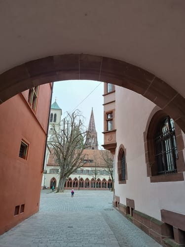 Schlossberg Runde Freiburg
