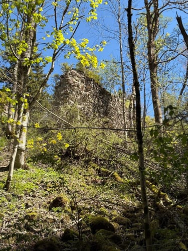 Nesselburg ab Nesselwang