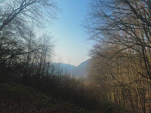Neckarsteig Etappe 3: Neckarsteinach - Hirschhorn