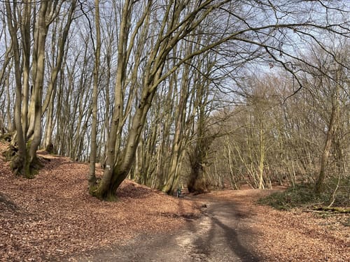 Nettetal Hinsbeck: Krickenbecker Seen (X12-A5-A3)