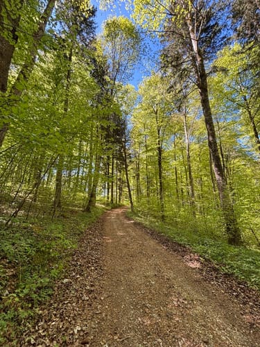 Donaufelsen-Tour (DonauWelle)