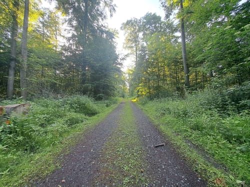 Rund um Wolfsanger-Hasenhecke