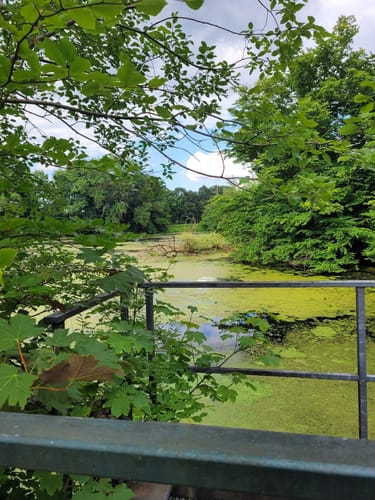 Ohlstedt - Wohldorfer Wald - Duvenstedter Brook