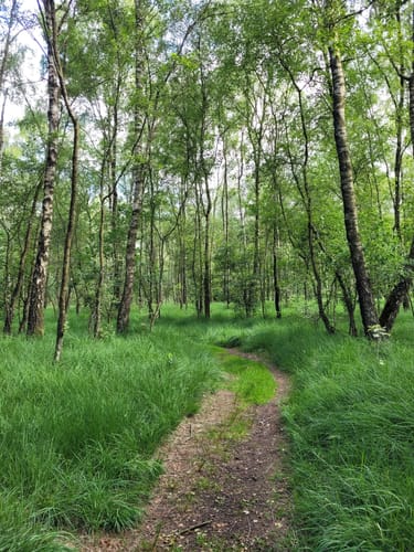 Ohlstedt - Wohldorfer Wald - Duvenstedter Brook