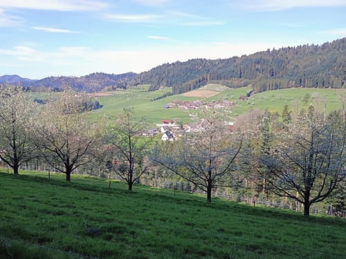 Hahn-und-Henne-Runde (Genießerpfad)
