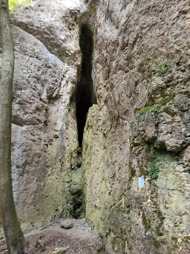 Am Schloss Hohenstein