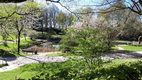 Rund um Solingen-Wald
