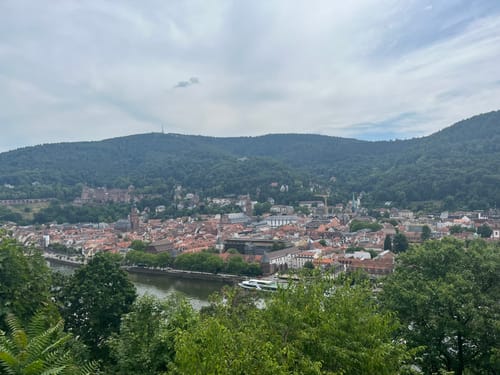 Stadtwanderung: Altstadt, Schloss, Philosophenweg