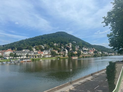Stadtwanderung: Altstadt, Schloss, Philosophenweg