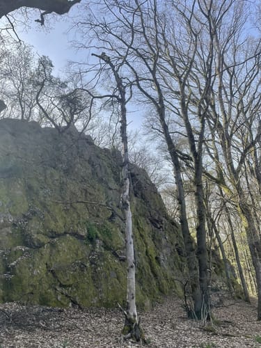 Rundwanderweg Hase Frauenstein