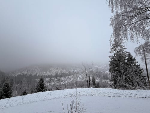 Blick ins romantische Odertal