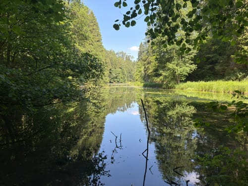 Von Pottenstein zur Teufelshöhle