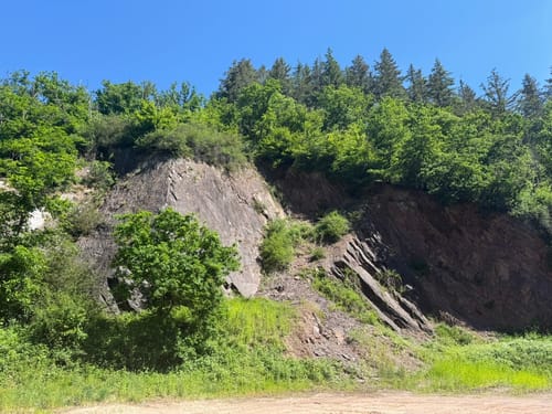 Landscheid 6