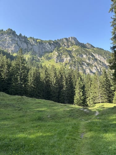 Vorderalm - Brachtalm - Staudacheralm