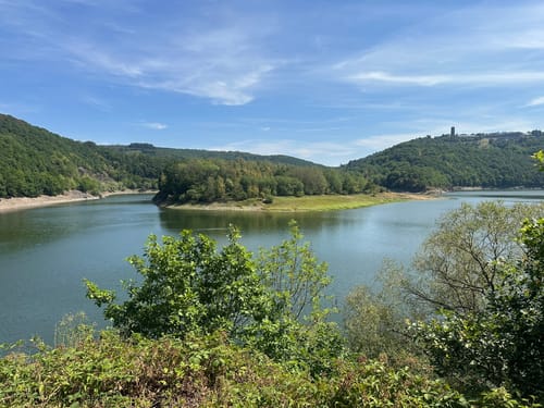 Bird Watching Runde: Von Vogelsang über die Urftseebrücke