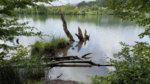 Via Rhenana, Etappe 9: Bad Säckingen - Rheinfelden